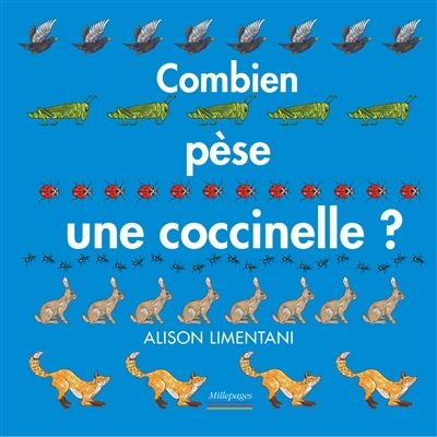 combien coccinelle