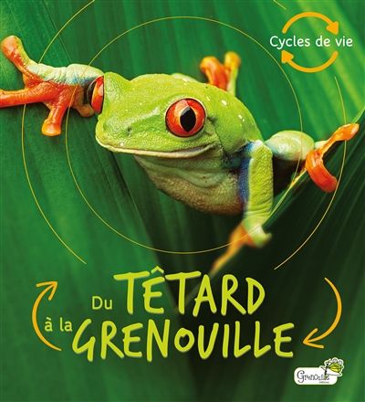 du tetard grenouille