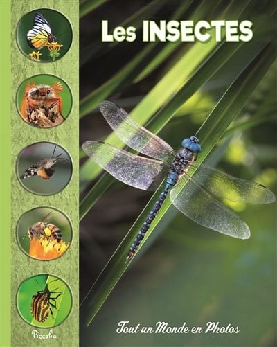 insectes