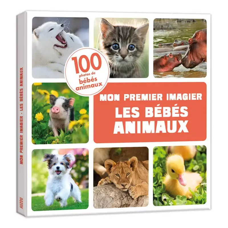 les bebes animaux