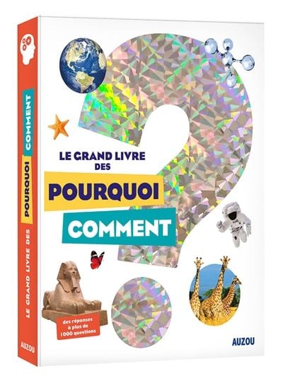 pourquoi comment