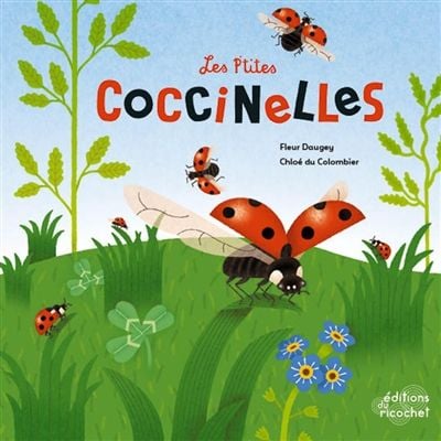 pti coccinelles