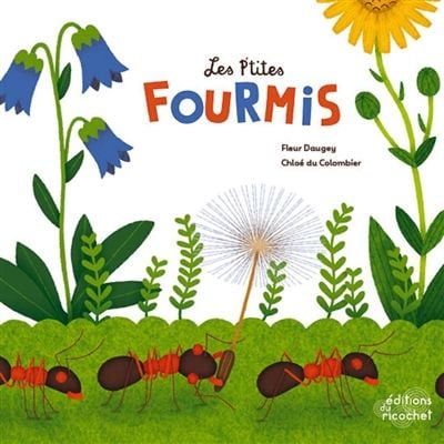 pti fourmis