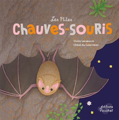 ptites chauves souris